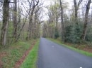 forêt de Vézins